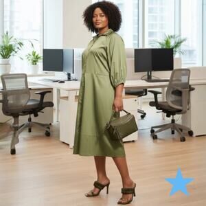 Harshman Muriel Matcha Green Cotton Shirt Dress 3/4 Sleeve NWT $229 New 2X 18 20